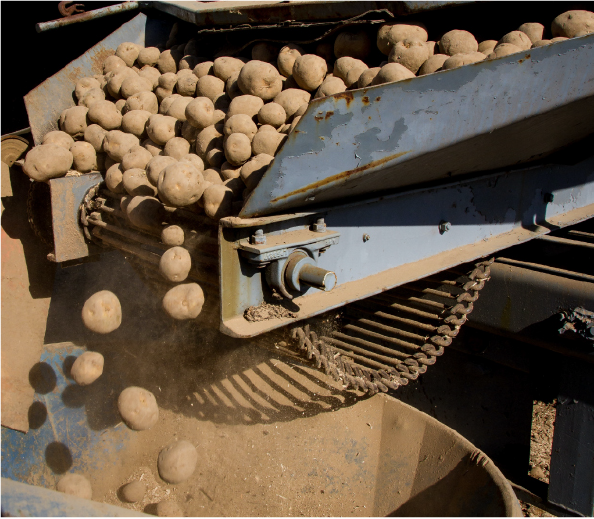 agriculture cnc - potatoes